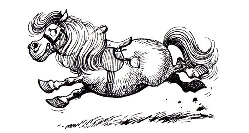 The Runaway Horse