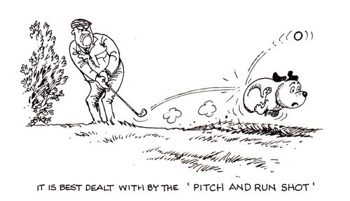 It is best dealt with by the 'Pitch and Run Shot'.