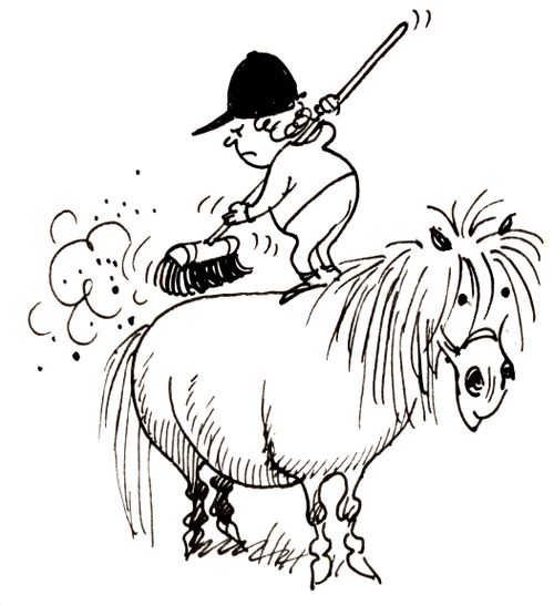 Cleaning the Horse