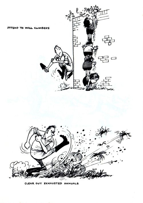 Attend to wall climbers...clear out exhausted annuals.