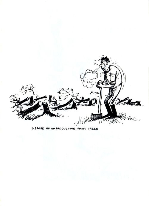Dispose of unproductive fruit trees.