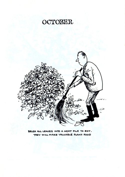 October: Brush all leaves into a neat pile to rot. They will make valuable plant food.