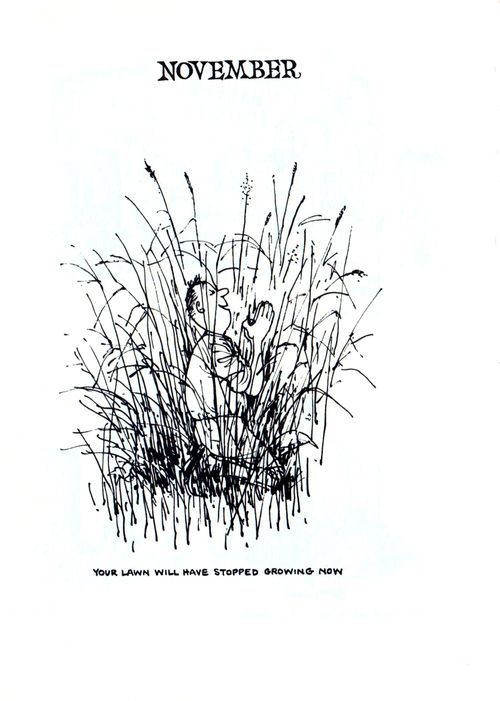 November: Your lawn will have stopped growing now.