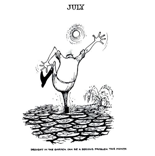 July: Drought in the garden can be a serious problem this month.