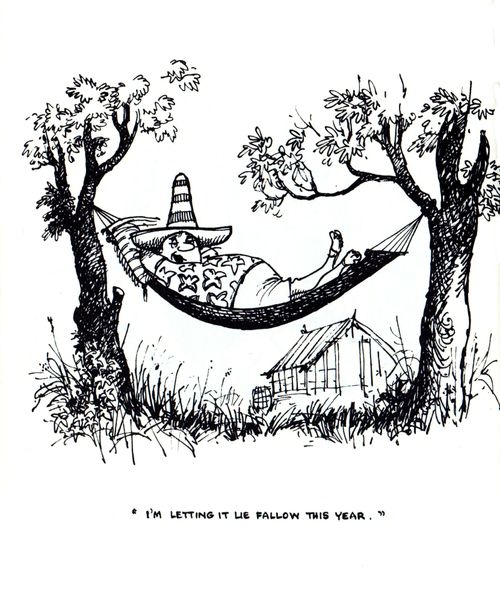 "I'm letting it lie fallow this year."