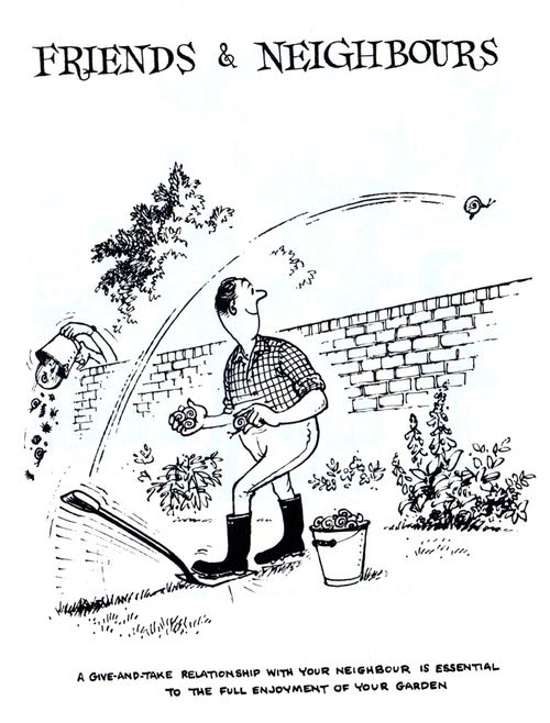 A give-and-take relationship with your neighbour is essential to the full enjoyment of your garden.