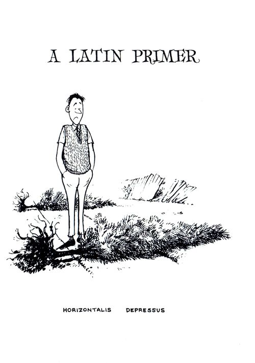 A Latin Primer: Horizontalis and Depressus