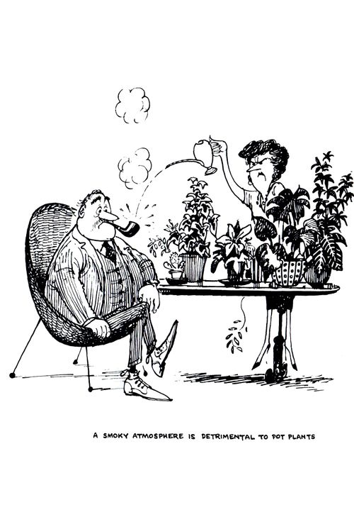 A smoky atmosphere is detrimental to pot plants.