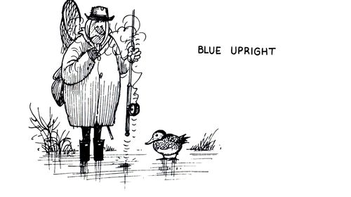 Blue Upright