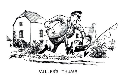 Fishing Terms: Miller's Thumb