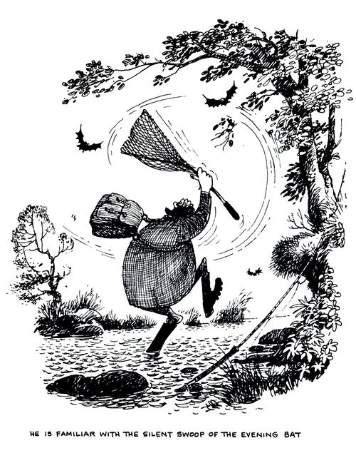He is familiar with the silent swoop of the evening bat.