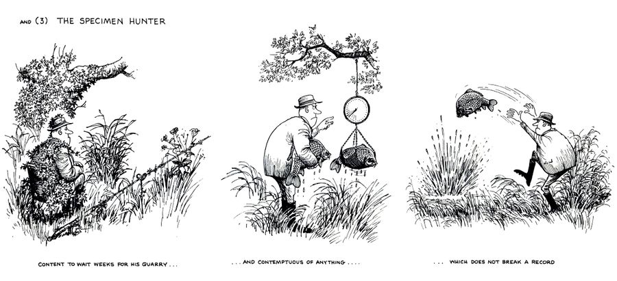 The Specimen Hunter