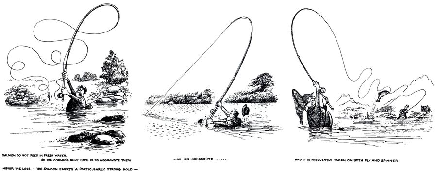 The Salmon Fisherman