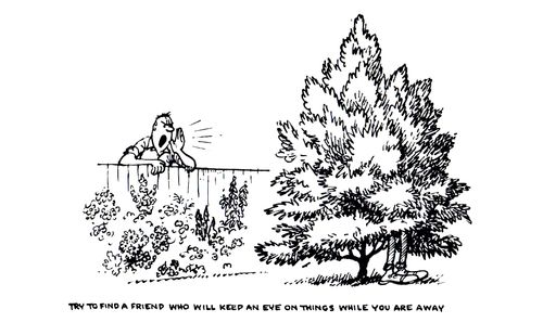 Gardening Tips: Try to find a friend who will keep an eye on things while you are away.