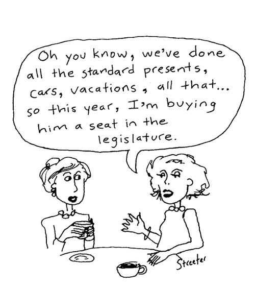 This year, I'm buying him a seat in the legislature.