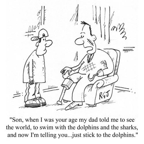 '...just stick to the dolphins.'