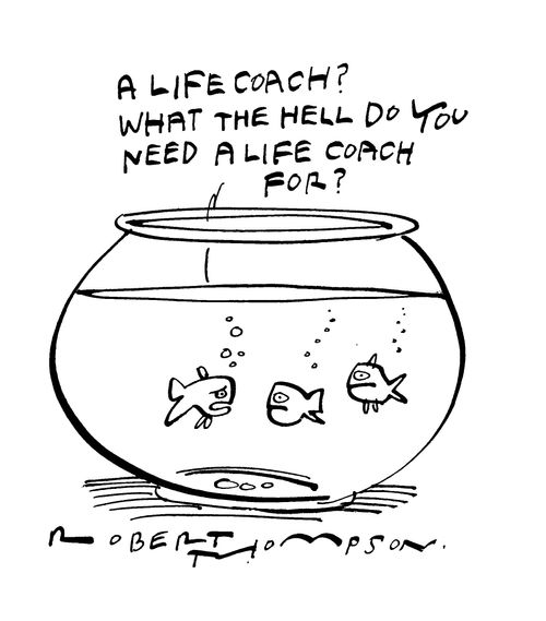 'A life coach?  What the hell do you want a life coach for?'