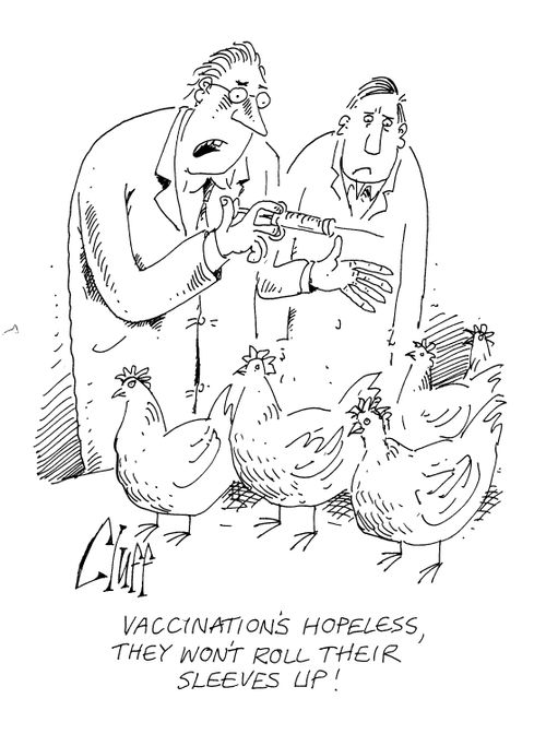 'Vaccination's hopeless, they won't roll their sleeves up!'