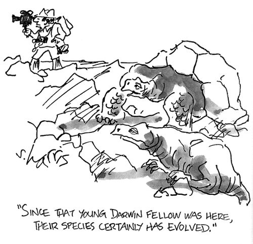'Since that young Darwin fellow was here, their species has certainly has evolved.'