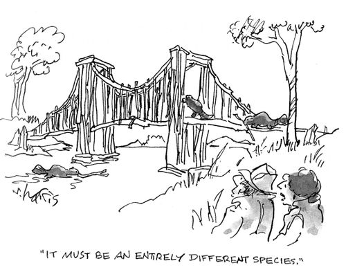'It must be an entirely different species.'