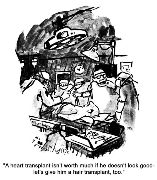 'A heart transplant isn't worth much if he doesn't look good - let's give him a hair transplant, too.'