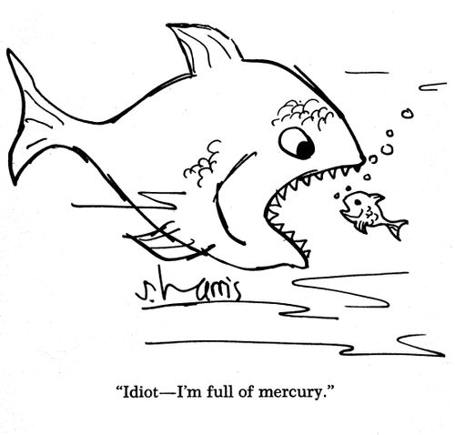 Idiot - I'm full of mercury.