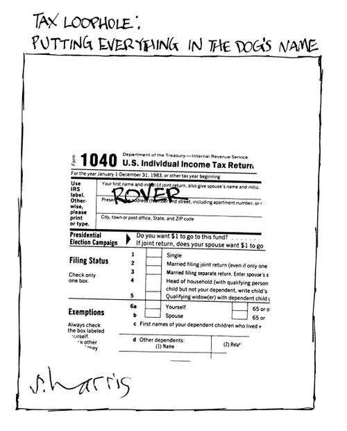 Tax Loophole: Putting Everything in the dog's name.