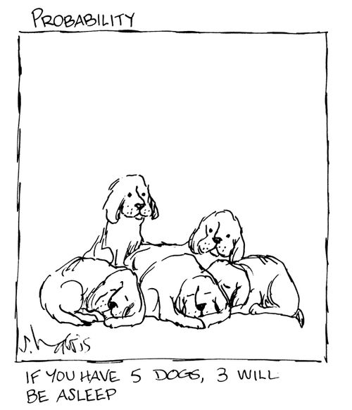 If you have 5 dogs, 3 will be asleep.