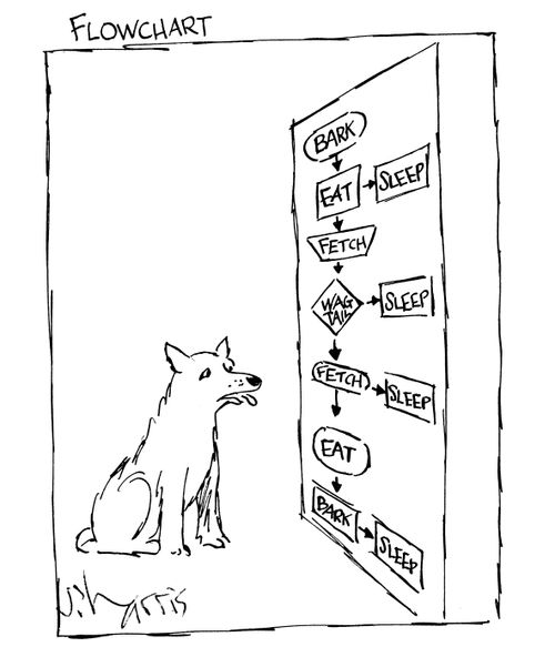 Dog's Flowchart.