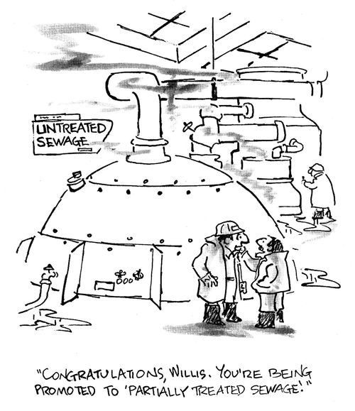 Congratulations, Willis. You're being promoted to 'partially treated sewage'.
