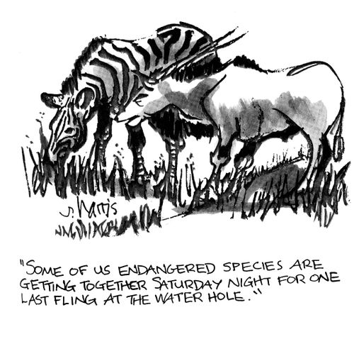 'Some of us endangered species are getting together Saturday night for one last fling at the water hole.'
