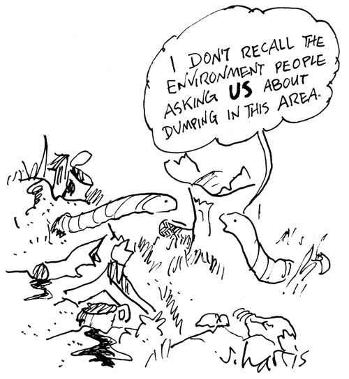 'I don't recall the environment people asking US about dumping in this area.'