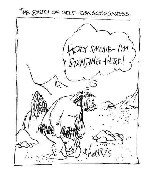 The birth of self-consciousnss: 'Holy smoke, I'm standing here!'
