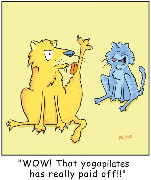 'Wow! That yogapilates has really paid off!'