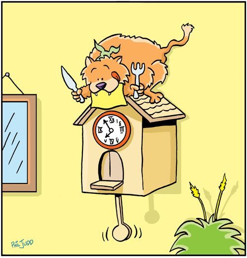 Cat on cuckoo clock waiting for bird.