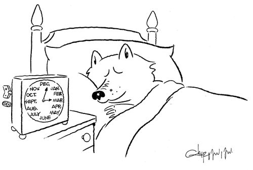 Hibernation Clock.