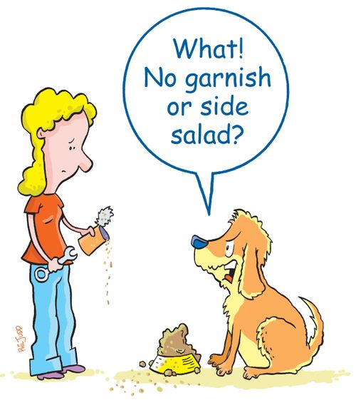 'What no garnish or side salad?'