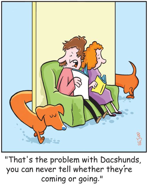 'That's the problem with Dacshunds, you can never tell whether they're coming or going.'
