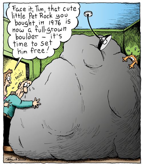 "Face it, Tim, that cute little Pet Rock you bought in 1976 is now a full-grown boulder - it's time to set him free!"
