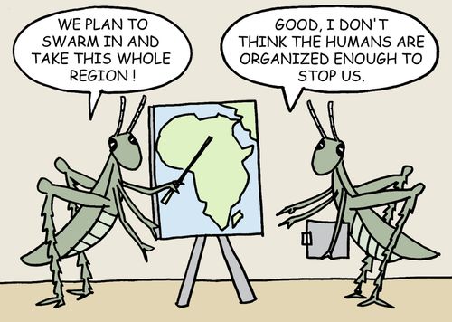 "We plan to swarm in and take this whole region."  "Good, I don' thtink the humans are organized enough to stop us."
