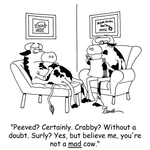 'Peeved? Certainly. Crabby? Without a doubt. Surly? Yes, but believe me, you're not a mad cow.'