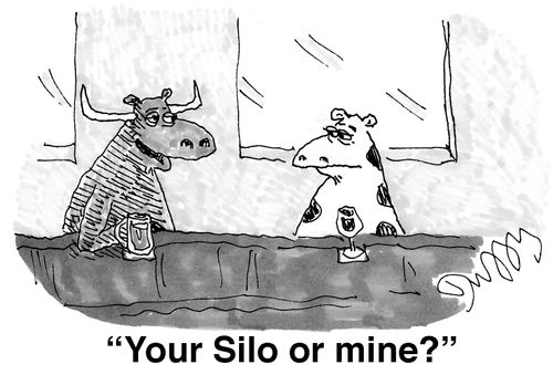 'Your silo or mine?'