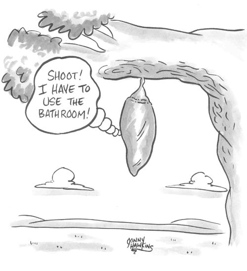 Caterpillar in cocoon or chrysalis says: 'Shoot, I have to use the bathroom.'