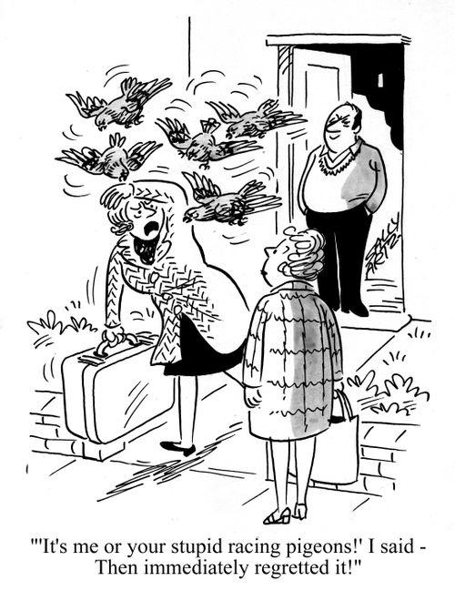 ''It's me or your stupid racing pigeons' I said - then immediately regretted it.'