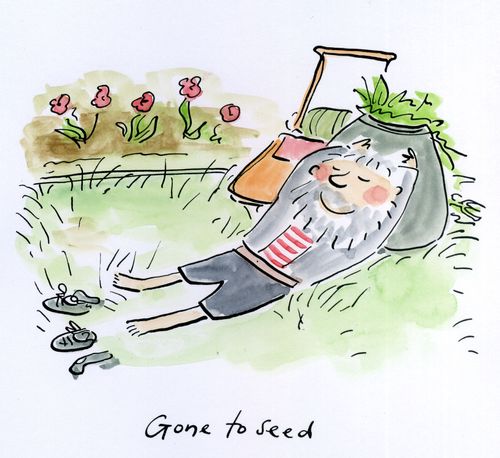 Gone to seed.