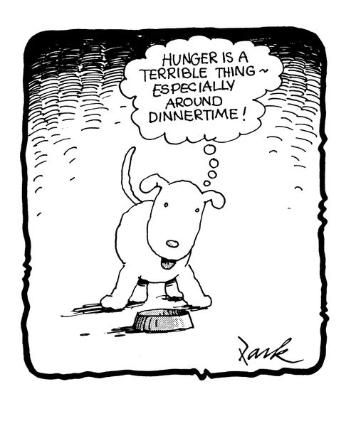 'Hunger is a terrible thing, especially around dinner time!'