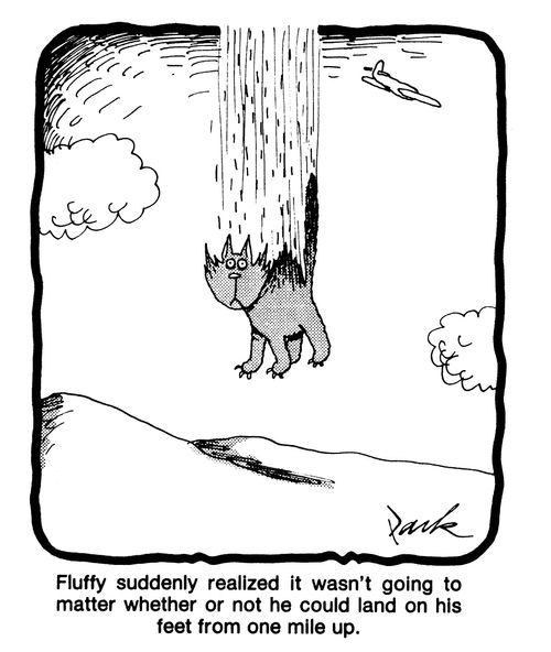 Fluffy suddenly realized it wasn't going to matter whether or not he could land on his feet from one mile up.