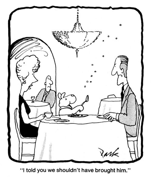 'I told you we shouldn't have brought him.'