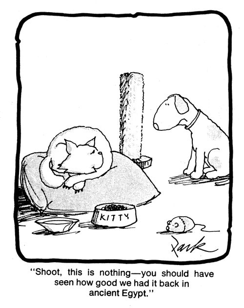'Shoot, this is nothing, you should have seen how good we had it back in ancient Egypt.'
