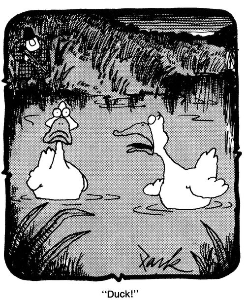 'Duck!'